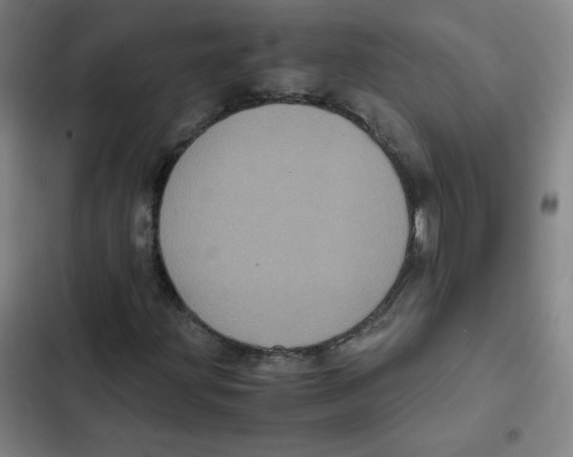 X0000102341203200808291129
