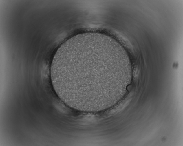 X0000102341204200808291129