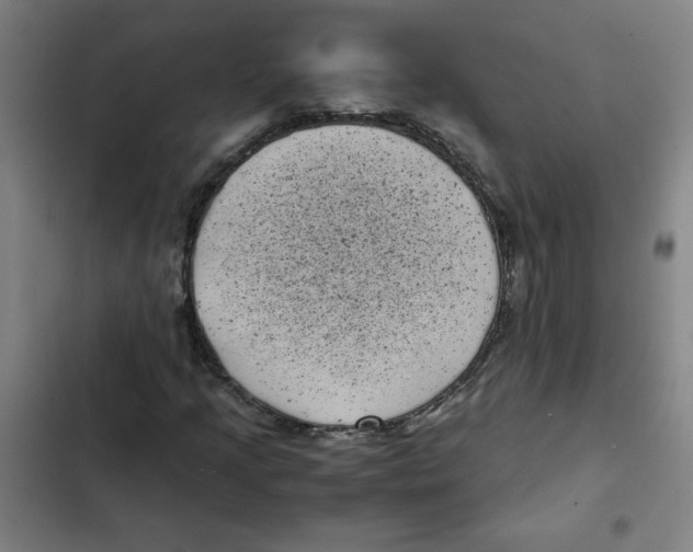 X0000102341205200808291129