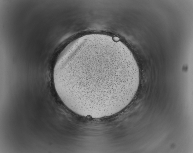 X0000102341206200808291129