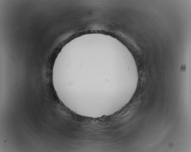 X0000102341207200808291129