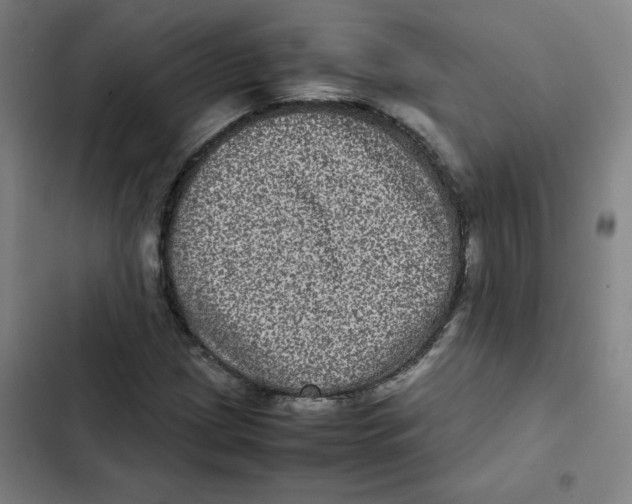 X0000102341209200808291129