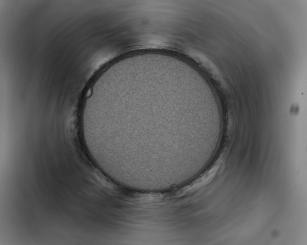 X0000102341210200808291129