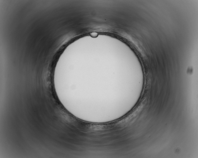 X0000102341211200808291129