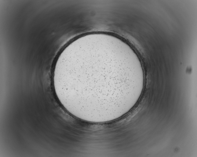 X0000102341212200808291129
