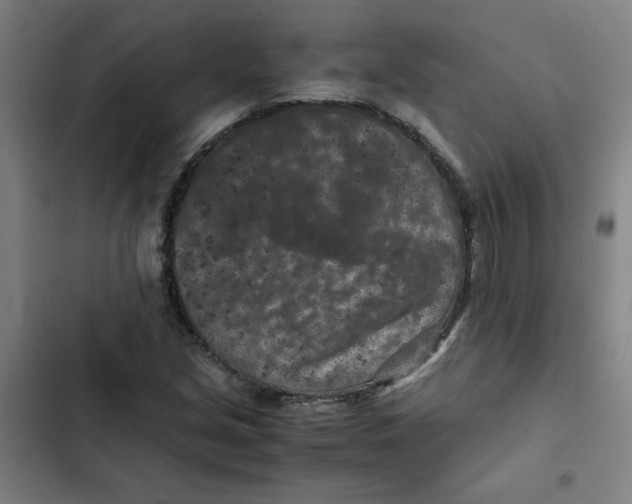 X0000102341213200808291129