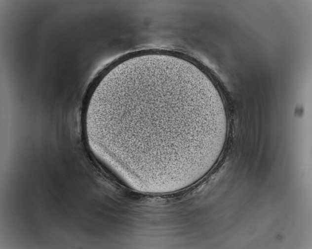 X0000102341214200808291129