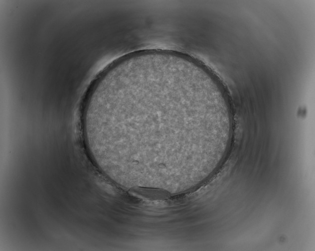 X0000102341215200808291129
