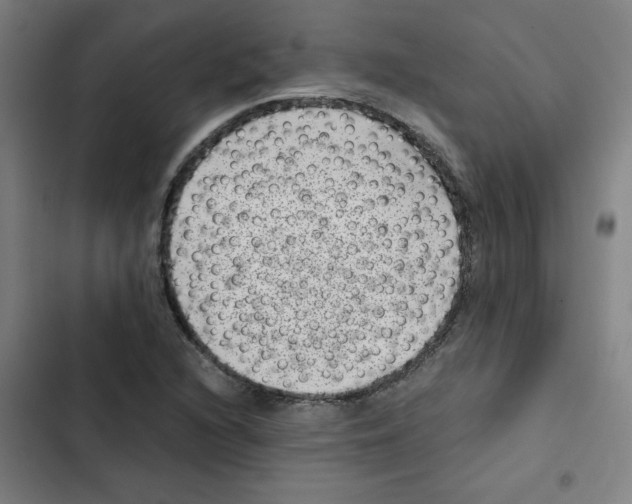 X0000102341216200808291129