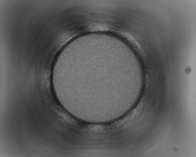 X0000102341217200808291129