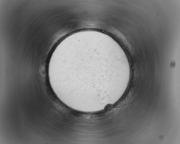 X0000102341218200808291129