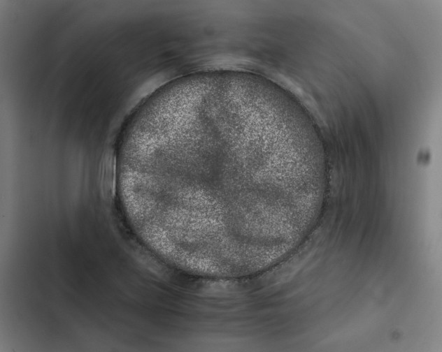 X0000102341219200808291129