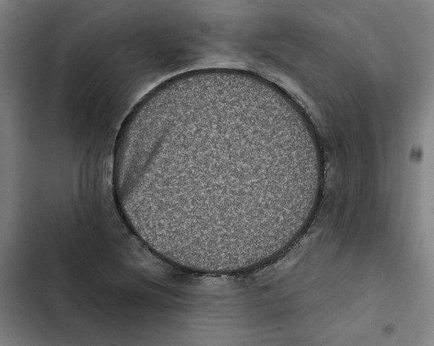 X0000102341220200808291129