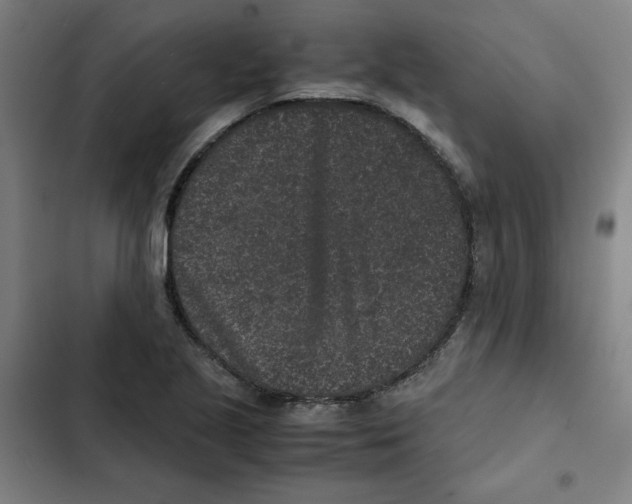 X0000102341221200808291129