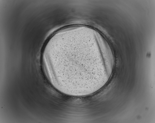 X0000102341222200808291129