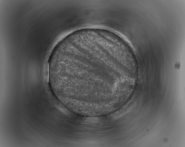 X0000102341223200808291129