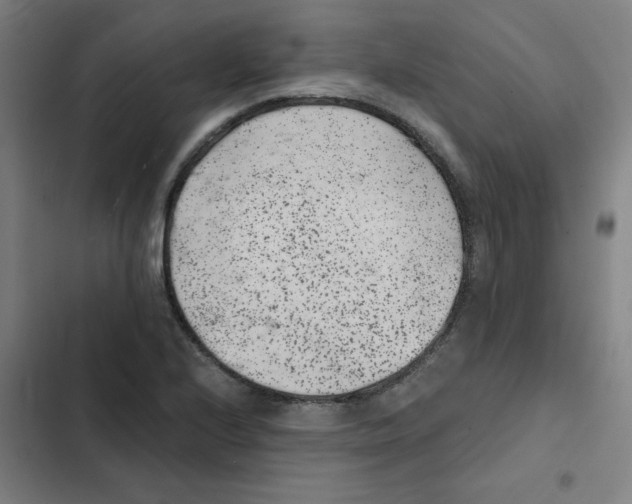 X0000102341224200808291129