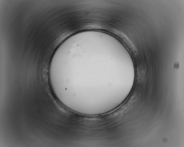 X0000102341225200808291129