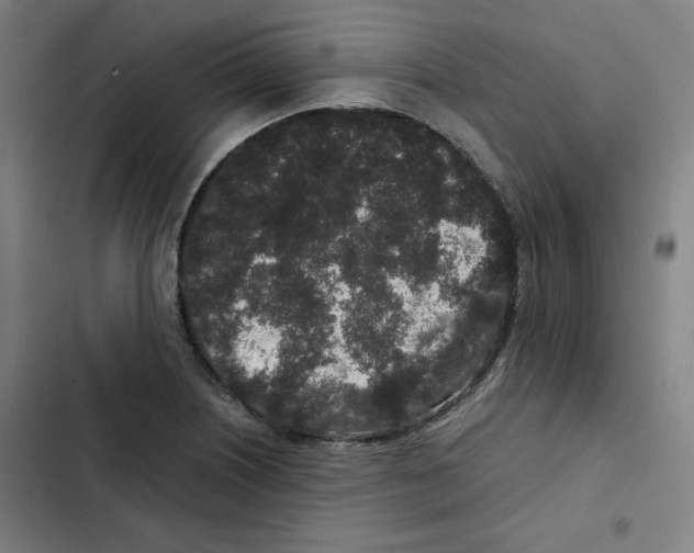 X0000102341226200808291129