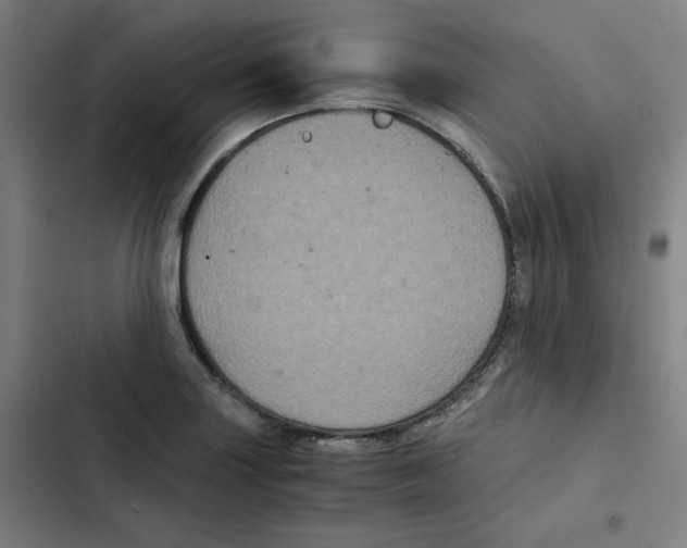 X0000102341227200808291129