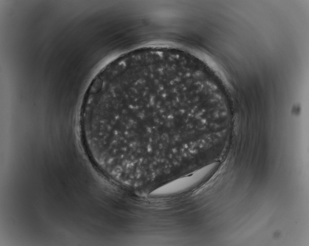 X0000102341229200808291129