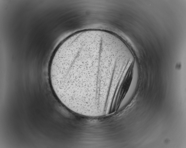 X0000102341230200808291130