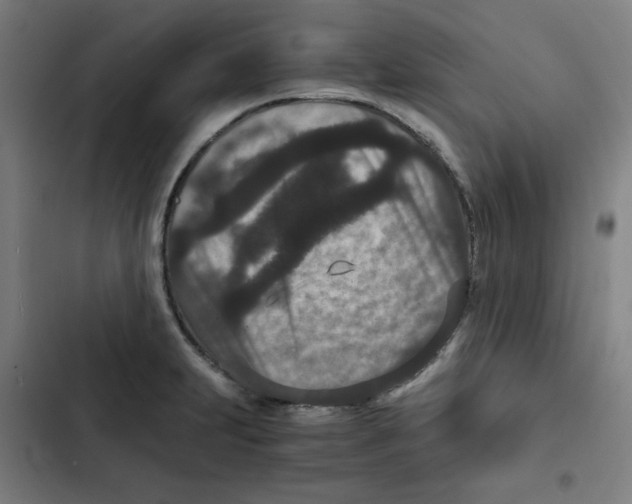 X0000102341231200808291130