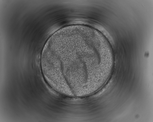 X0000102341233200808291130