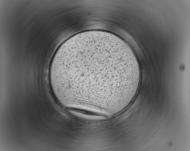 X0000102341234200808291130