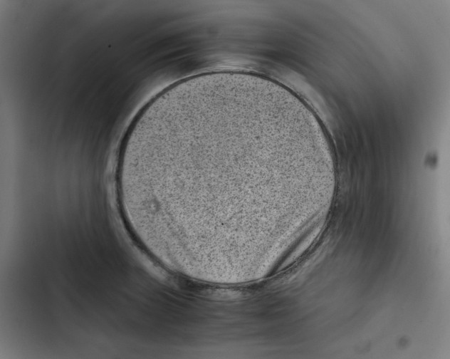 X0000102341235200808291130