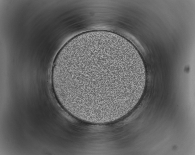 X0000102341236200808291130