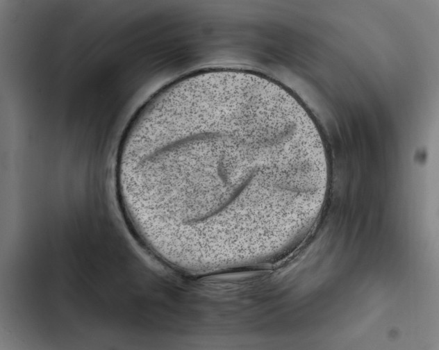 X0000102341237200808291130