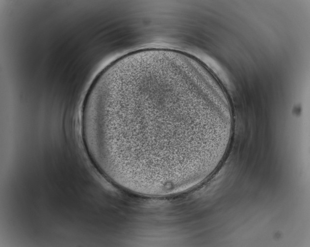 X0000102341238200808291130