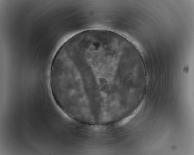 X0000102341239200808291130