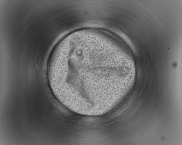 X0000102341240200808291130