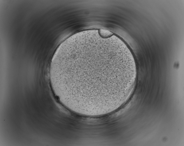 X0000102341241200808291130