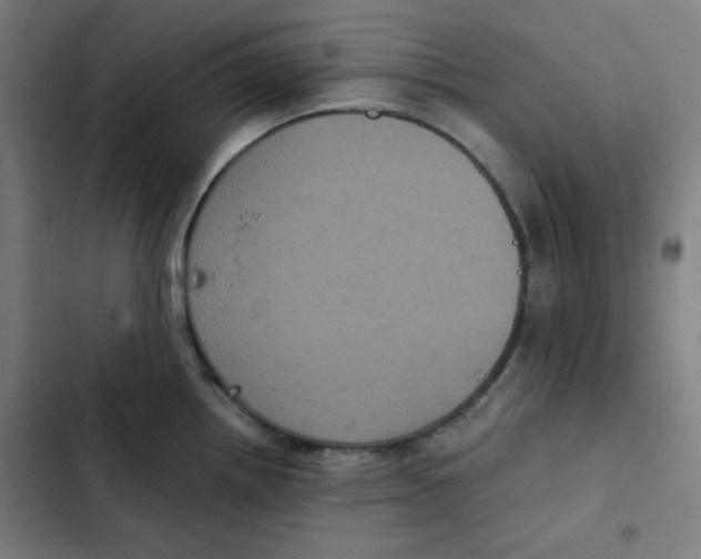 X0000102341242200808291130