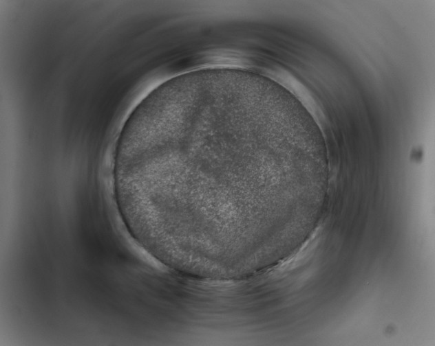X0000102341243200808291130
