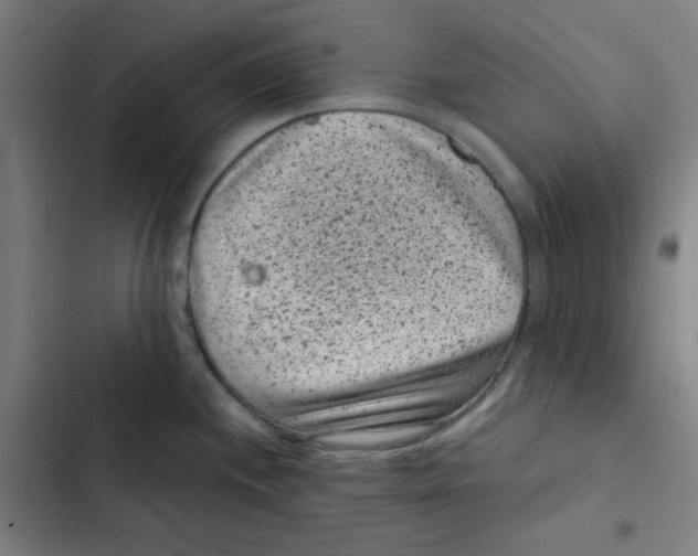 X0000102341244200808291130