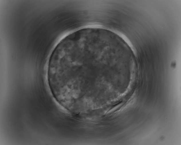 X0000102341245200808291130