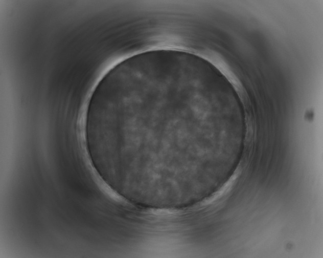 X0000102341246200808291130