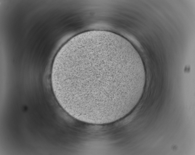 X0000102341248200808291130