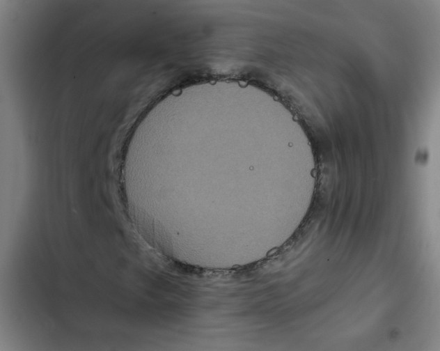 X0000102341249200808291129