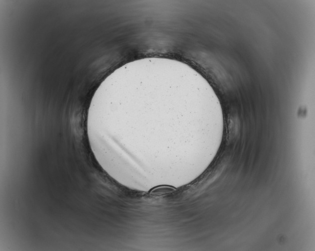 X0000102341250200808291129