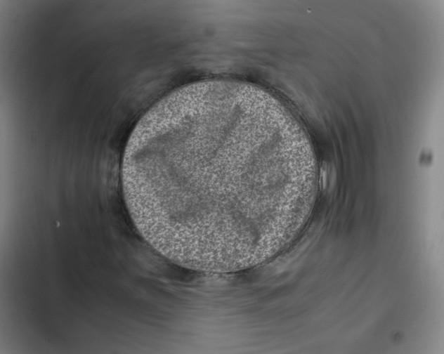 X0000102341251200808291129