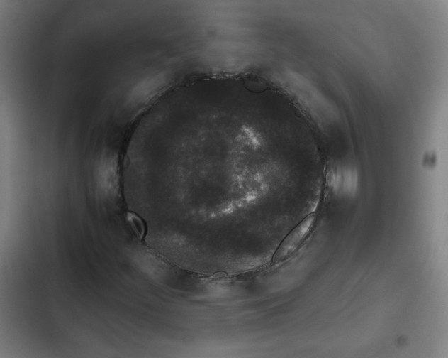 X0000102341252200808291129