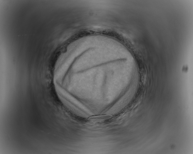 X0000102341253200808291129