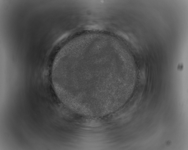 X0000102341254200808291129