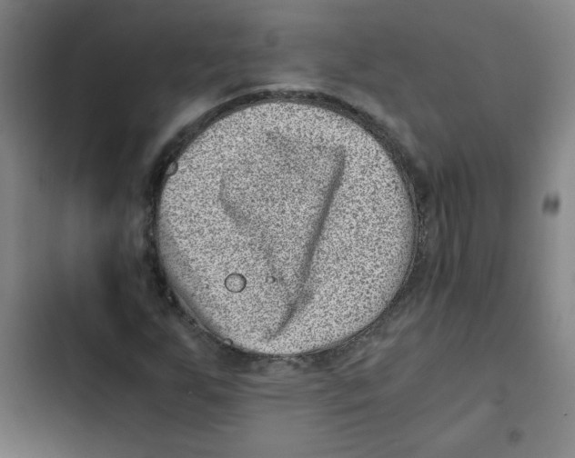 X0000102341255200808291129
