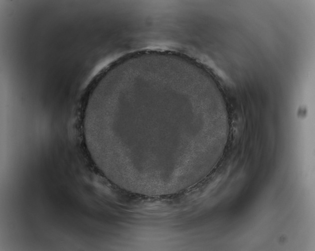 X0000102341256200808291129